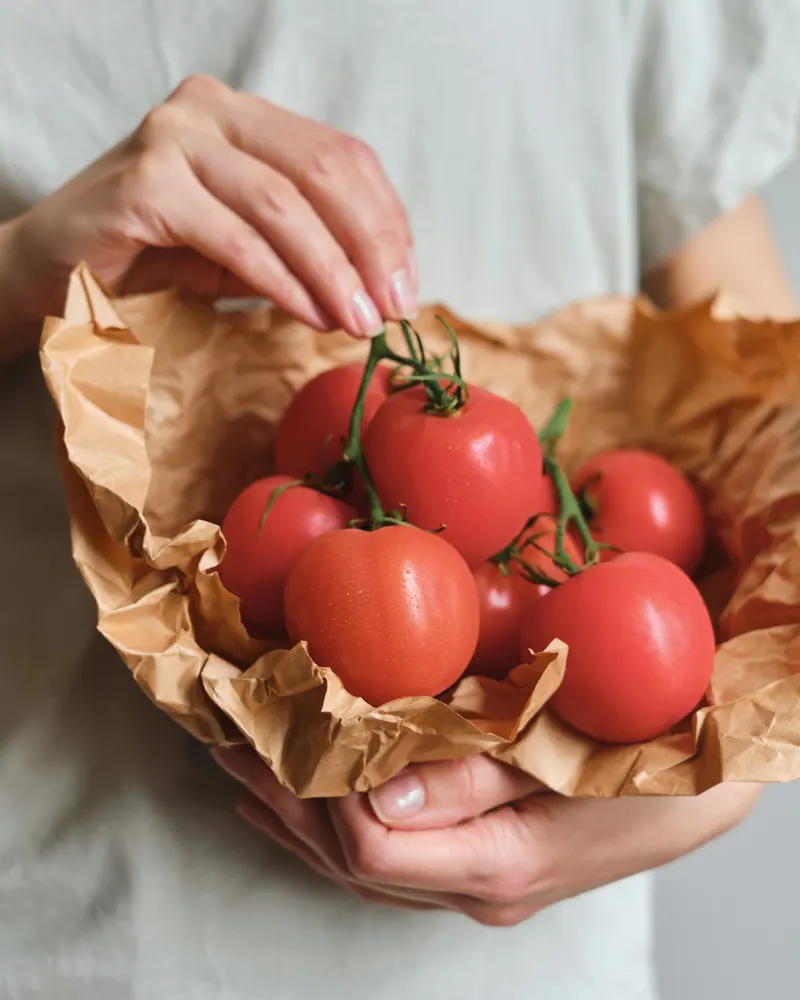 Mãos segurando tomates maduros embrulhados em papel pardo.